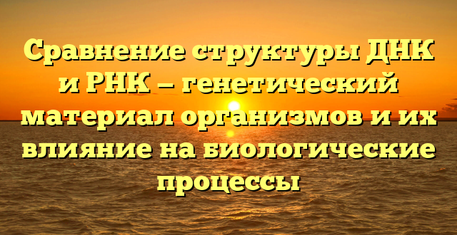 Сравнение структуры ДНК и РНК — генетический материал организмов и их влияние на биологические процессы