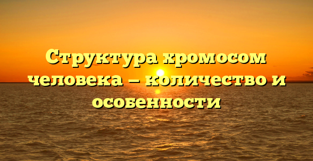 Структура хромосом человека — количество и особенности