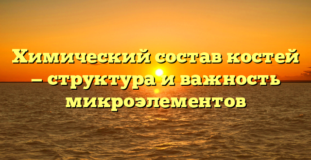 Химический состав костей — структура и важность микроэлементов