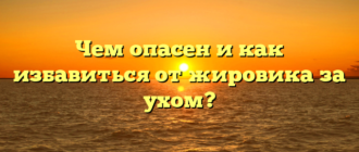 Чем опасен и как избавиться от жировика за ухом?