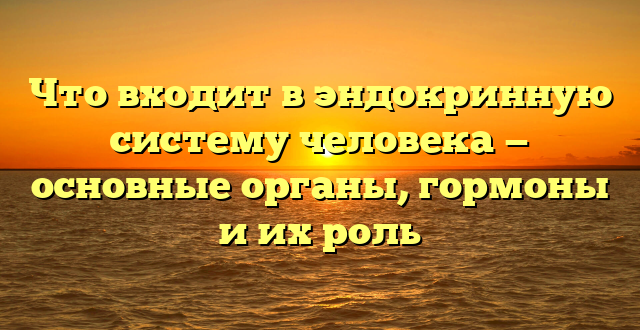 Что входит в эндокринную систему человека — основные органы, гормоны и их роль