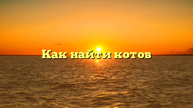 Как найти котов