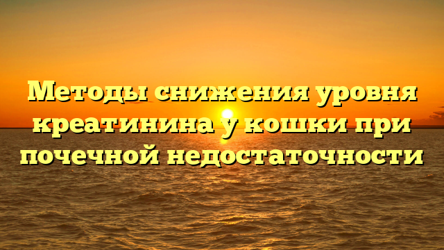 Методы снижения уровня креатинина у кошки при почечной недостаточности